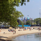 The Beaches Community